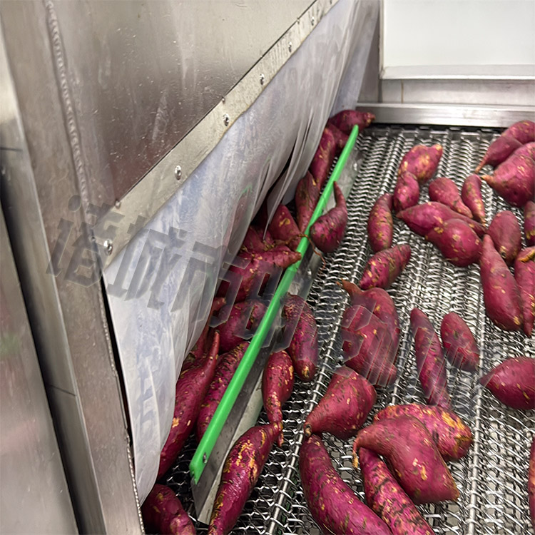 紅薯清洗愈合糖化設備