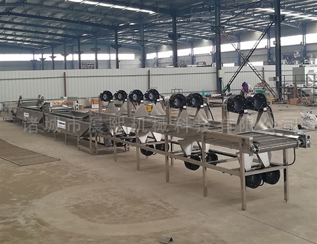 樹梅清洗機(jī)多少錢