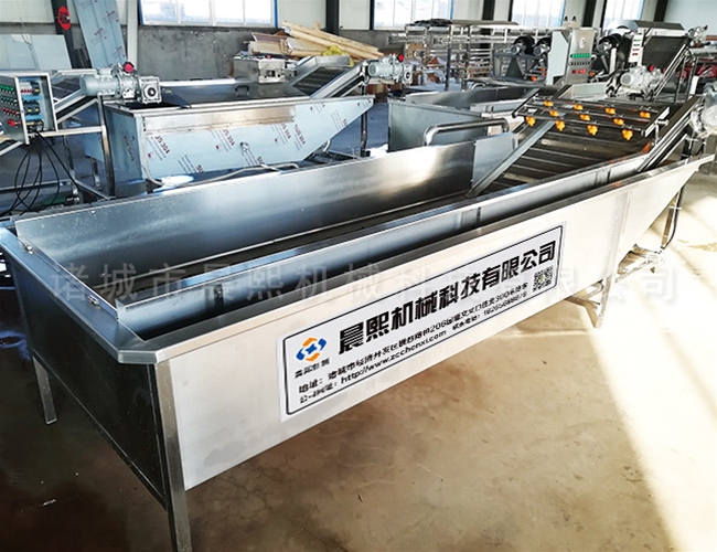 楊梅清洗流水線設(shè)備特性