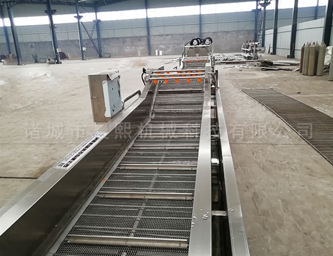 毛豆噴淋清洗機(jī)